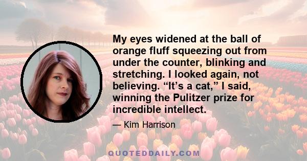 My eyes widened at the ball of orange fluff squeezing out from under the counter, blinking and stretching. I looked again, not believing. “It’s a cat,” I said, winning the Pulitzer prize for incredible intellect.