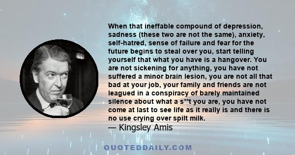 When that ineffable compound of depression, sadness (these two are not the same), anxiety, self-hatred, sense of failure and fear for the future begins to steal over you, start telling yourself that what you have is a