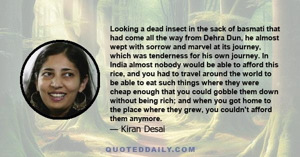 Looking a dead insect in the sack of basmati that had come all the way from Dehra Dun, he almost wept with sorrow and marvel at its journey, which was tenderness for his own journey. In India almost nobody would be able 