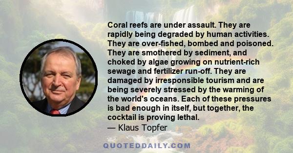 Coral reefs are under assault. They are rapidly being degraded by human activities. They are over-fished, bombed and poisoned. They are smothered by sediment, and choked by algae growing on nutrient-rich sewage and