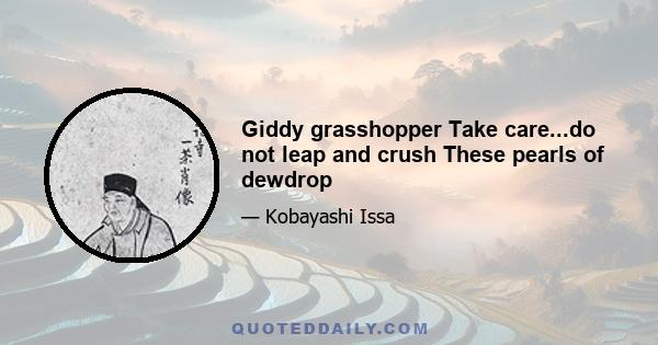 Giddy grasshopper Take care...do not leap and crush These pearls of dewdrop