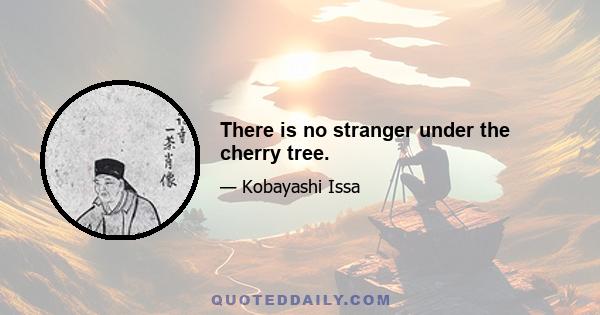 There is no stranger under the cherry tree.