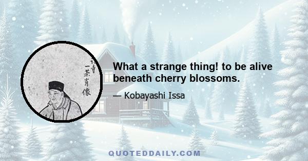 What a strange thing! to be alive beneath cherry blossoms.