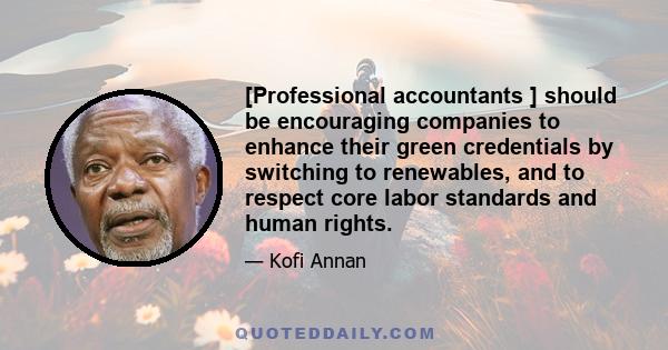 [Professional accountants ] should be encouraging companies to enhance their green credentials by switching to renewables, and to respect core labor standards and human rights.