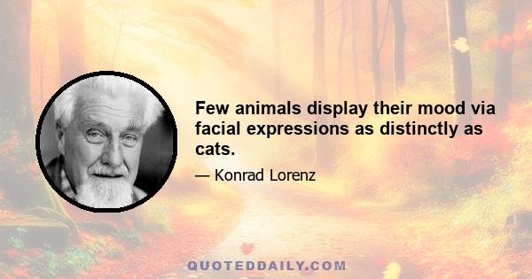 Few animals display their mood via facial expressions as distinctly as cats.