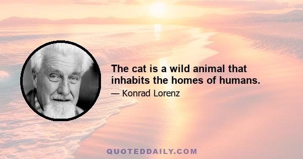 The cat is a wild animal that inhabits the homes of humans.