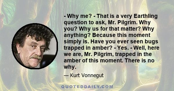 - Why me? - That is a very Earthling question to ask, Mr. Pilgrim. Why you? Why us for that matter? Why anything? Because this moment simply is. Have you ever seen bugs trapped in amber? - Yes. - Well, here we are, Mr.