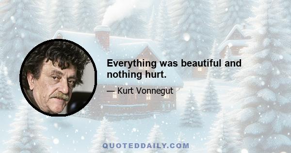 Everything was beautiful and nothing hurt.