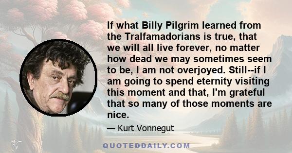 If what Billy Pilgrim learned from the Tralfamadorians is true, that we will all live forever, no matter how dead we may sometimes seem to be, I am not overjoyed. Still--if I am going to spend eternity visiting this