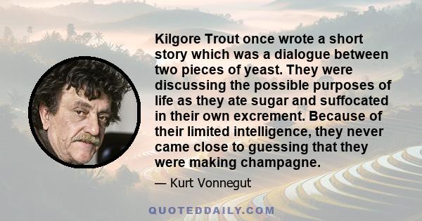 Kilgore Trout once wrote a short story which was a dialogue between two pieces of yeast. They were discussing the possible purposes of life as they ate sugar and suffocated in their own excrement. Because of their