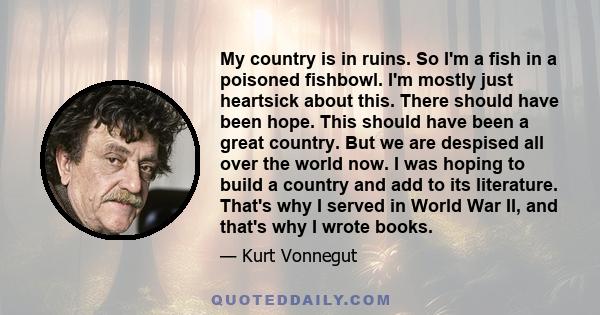 My country is in ruins. So I'm a fish in a poisoned fishbowl. I'm mostly just heartsick about this. There should have been hope. This should have been a great country. But we are despised all over the world now. I was