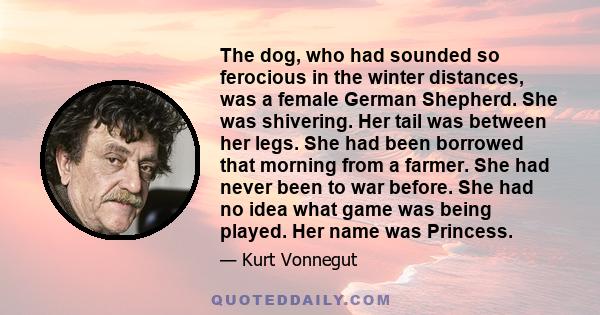 The dog, who had sounded so ferocious in the winter distances, was a female German Shepherd. She was shivering. Her tail was between her legs. She had been borrowed that morning from a farmer. She had never been to war