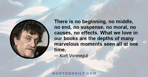 There is no beginning, no middle, no end, no suspense, no moral, no causes, no effects. What we love in our books are the depths of many marvelous moments seen all at one time.