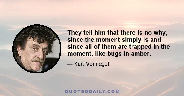 They tell him that there is no why, since the moment simply is and since all of them are trapped in the moment, like bugs in amber.