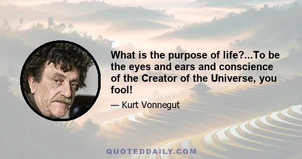 What is the purpose of life?...To be the eyes and ears and conscience of the Creator of the Universe, you fool!