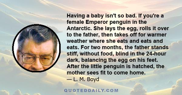 Having a baby isn't so bad. If you're a female Emperor penguin in the Antarctic. She lays the egg, rolls it over to the father, then takes off for warmer weather where she eats and eats and eats. For two months, the