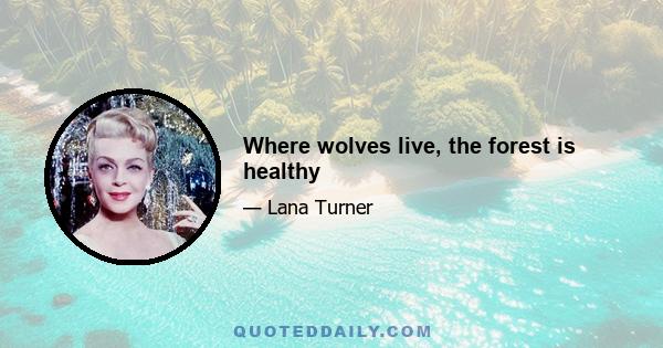 Where wolves live, the forest is healthy