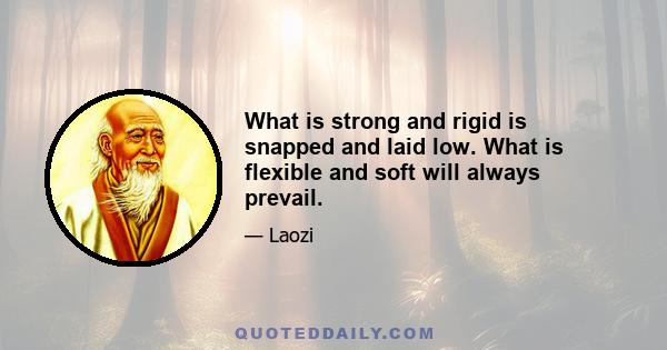 What is strong and rigid is snapped and laid low. What is flexible and soft will always prevail.