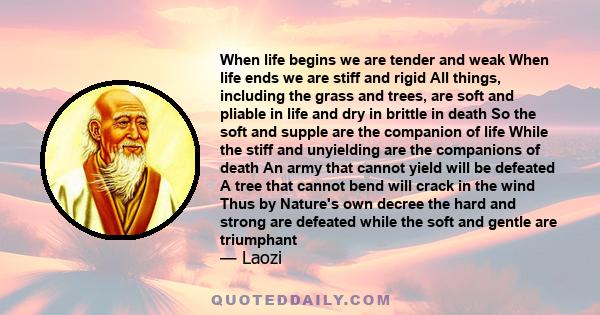 When life begins we are tender and weak When life ends we are stiff and rigid All things, including the grass and trees, are soft and pliable in life and dry in brittle in death So the soft and supple are the companion