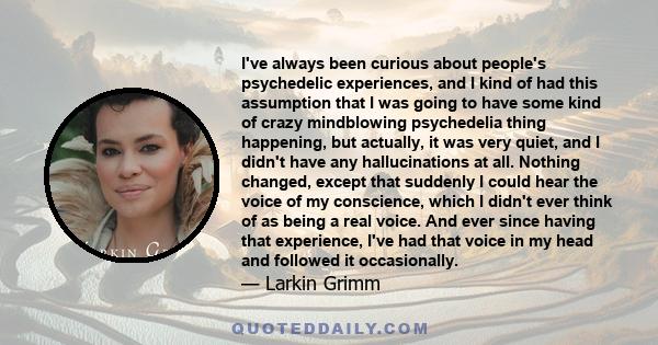 I've always been curious about people's psychedelic experiences, and I kind of had this assumption that I was going to have some kind of crazy mindblowing psychedelia thing happening, but actually, it was very quiet,