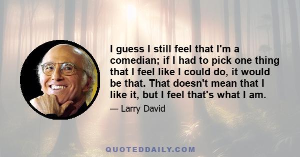 I guess I still feel that I'm a comedian; if I had to pick one thing that I feel like I could do, it would be that. That doesn't mean that I like it, but I feel that's what I am.