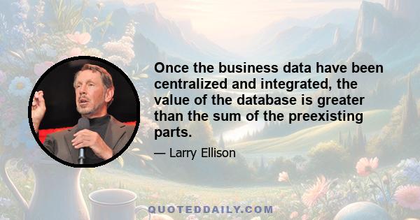 Once the business data have been centralized and integrated, the value of the database is greater than the sum of the preexisting parts.