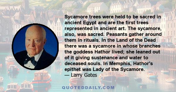 Sycamore trees were held to be sacred in ancient Egypt and are the first trees represented in ancient art. The sycamore, also, was sacred. Peasants gather around them in rituals. In the Land of the Dead there was a