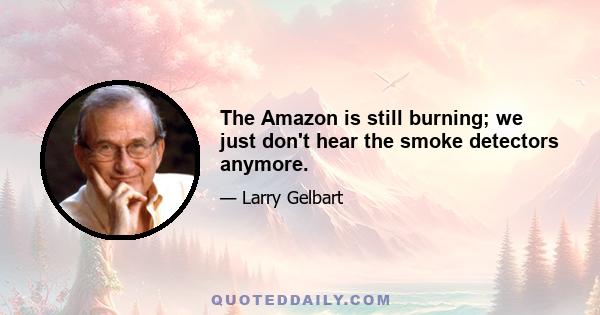 The Amazon is still burning; we just don't hear the smoke detectors anymore.