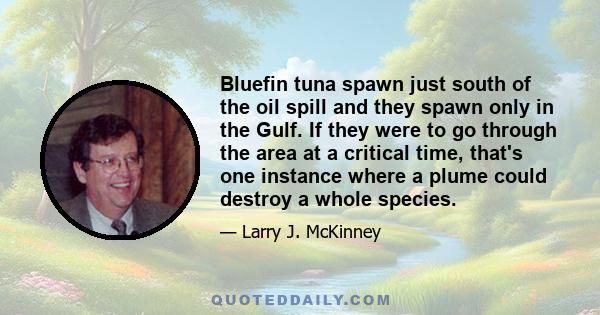 Bluefin tuna spawn just south of the oil spill and they spawn only in the Gulf. If they were to go through the area at a critical time, that's one instance where a plume could destroy a whole species.