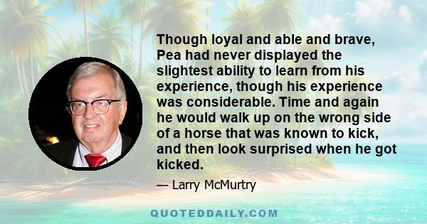 Though loyal and able and brave, Pea had never displayed the slightest ability to learn from his experience, though his experience was considerable. Time and again he would walk up on the wrong side of a horse that was