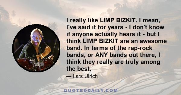 I really like LIMP BIZKIT. I mean, I've said it for years - I don't know if anyone actually hears it - but I think LIMP BIZKIT are an awesome band. In terms of the rap-rock bands, or ANY bands out there, I think they