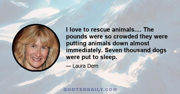 I love to rescue animals.... The pounds were so crowded they were putting animals down almost immediately. Seven thousand dogs were put to sleep.