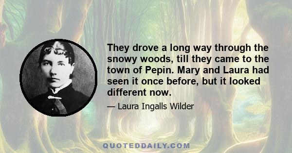 They drove a long way through the snowy woods, till they came to the town of Pepin. Mary and Laura had seen it once before, but it looked different now.