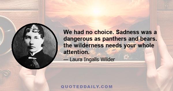 We had no choice. Sadness was a dangerous as panthers and bears. the wilderness needs your whole attention.