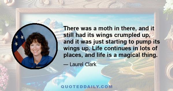 There was a moth in there, and it still had its wings crumpled up, and it was just starting to pump its wings up. Life continues in lots of places, and life is a magical thing.