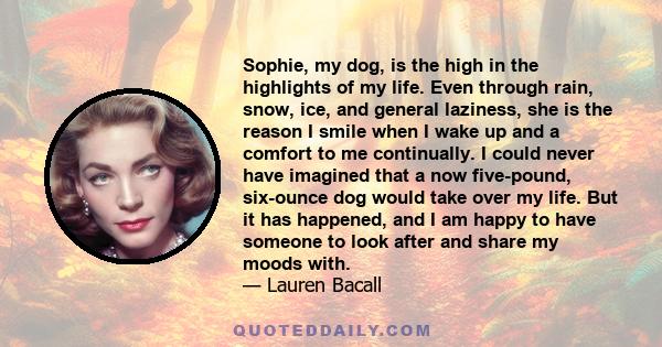 Sophie, my dog, is the high in the highlights of my life. Even through rain, snow, ice, and general laziness, she is the reason I smile when I wake up and a comfort to me continually. I could never have imagined that a