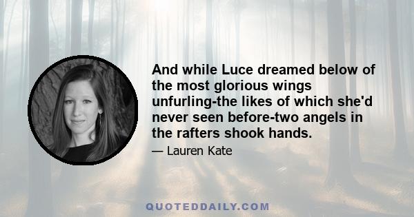 And while Luce dreamed below of the most glorious wings unfurling-the likes of which she'd never seen before-two angels in the rafters shook hands.