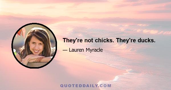 They're not chicks. They're ducks.