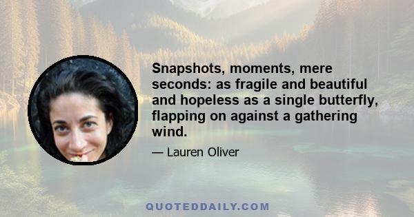 Snapshots, moments, mere seconds: as fragile and beautiful and hopeless as a single butterfly, flapping on against a gathering wind.