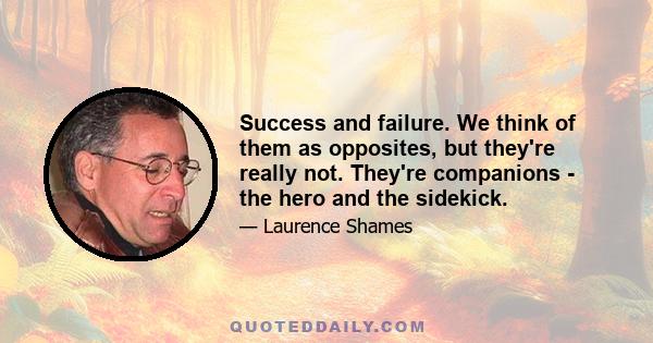 Success and failure. We think of them as opposites, but they're really not. They're companions - the hero and the sidekick.