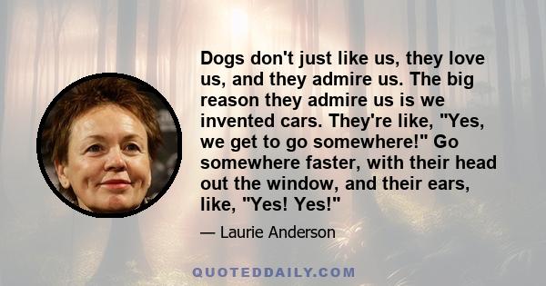 Dogs don't just like us, they love us, and they admire us. The big reason they admire us is we invented cars. They're like, Yes, we get to go somewhere! Go somewhere faster, with their head out the window, and their