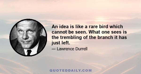 An idea is like a rare bird which cannot be seen. What one sees is the trembling of the branch it has just left.