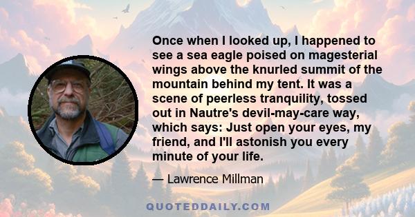 Once when I looked up, I happened to see a sea eagle poised on magesterial wings above the knurled summit of the mountain behind my tent. It was a scene of peerless tranquility, tossed out in Nautre's devil-may-care