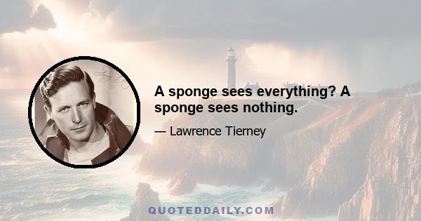 A sponge sees everything? A sponge sees nothing.