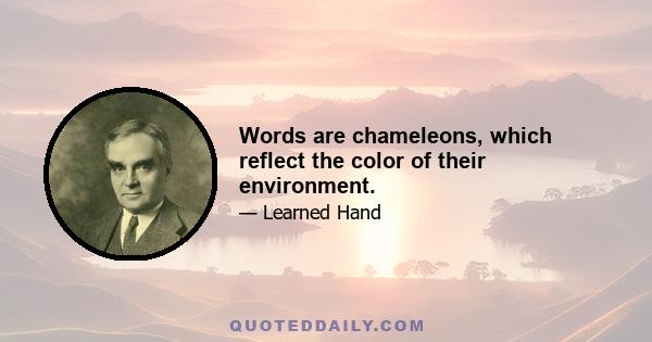 Words are chameleons, which reflect the color of their environment.