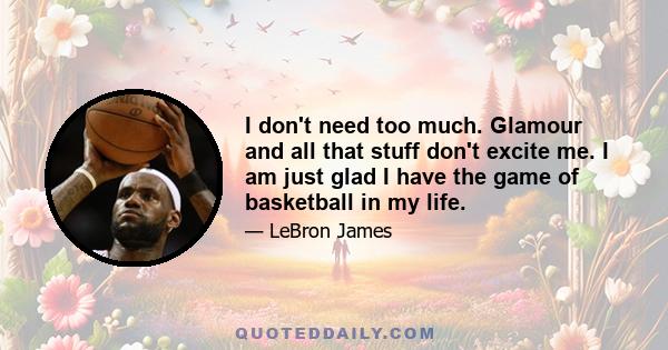 I don't need too much. Glamour and all that stuff don't excite me. I am just glad I have the game of basketball in my life.