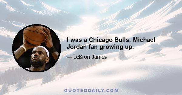 I was a Chicago Bulls, Michael Jordan fan growing up.