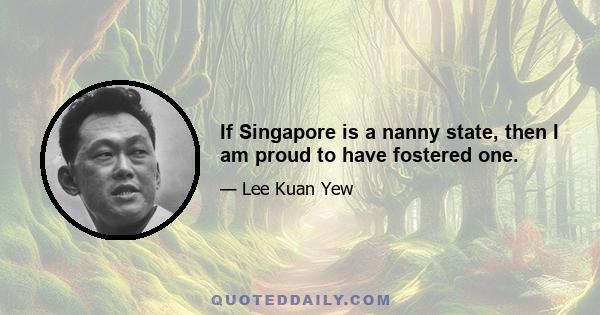 If Singapore is a nanny state, then I am proud to have fostered one.