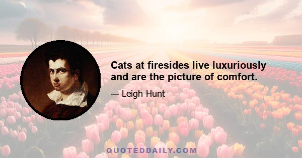 Cats at firesides live luxuriously and are the picture of comfort.