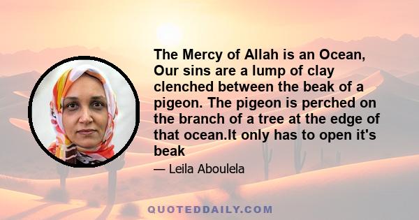 The Mercy of Allah is an Ocean, Our sins are a lump of clay clenched between the beak of a pigeon. The pigeon is perched on the branch of a tree at the edge of that ocean.It only has to open it's beak